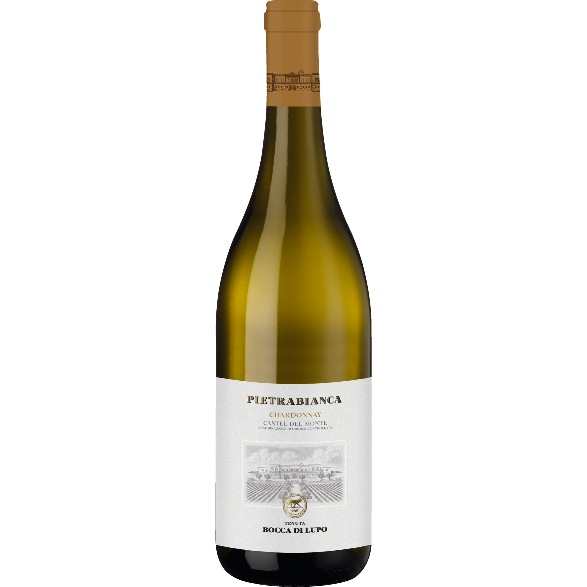 Chardonnay "Pietra Bianca" 2023